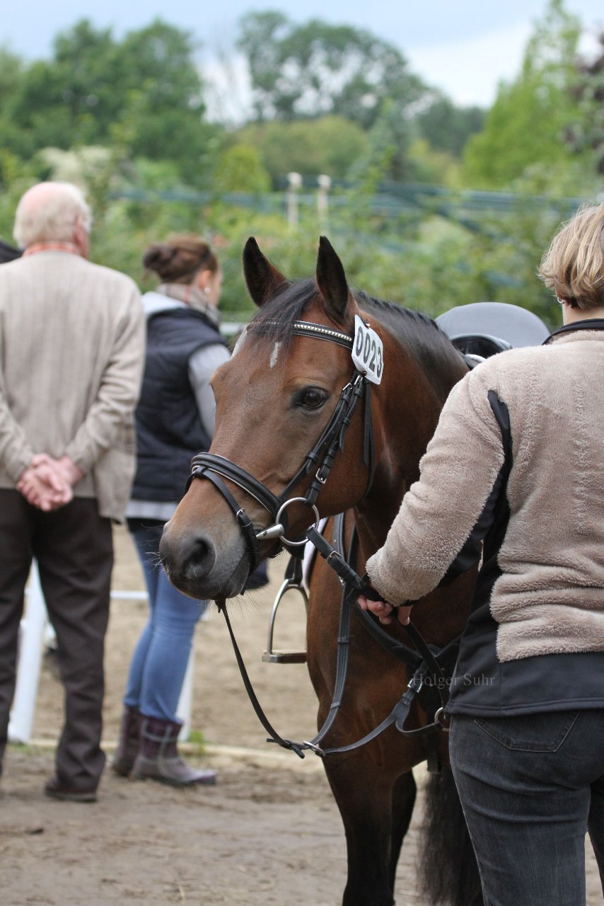Bild 1208 - WBO-Turnier am 18.9.11